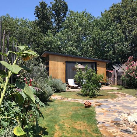 Tiny House Kayakoey Nar Villa Fethiye Exteriör bild